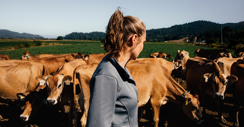 Tillamook Cheese, Becky Seals